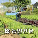 영농축산직매장 이미지