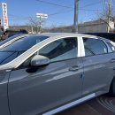 황금카모터스 이미지