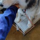 욜로하 하우스 이미지