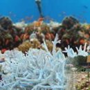 울산 해양박물관 이미지