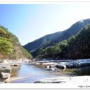 삼화사 티스토리