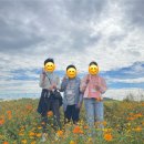 화성남부장애인주간보호센터 이미지