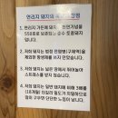 제주토종똥돼지 이미지