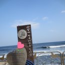 대포항 이미지