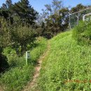 통일로 240번길 이미지