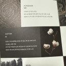 비비더스 | 🛏️ 최고의 수면 경험을 위한 해스텐스 선택 가이드 및 부산 쇼룸 후기(2024)