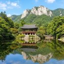 백양공원(농구장 옆) | 8~9월 국내여행 | 주황빛 꽃물결에 반하다! 백양꽃의 고향 '장성 백양사' 초가을 산책 코스 총정리