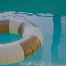 스테이 피크닉 이미지