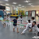 영천포은초등학교 이미지