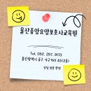 울산중앙요양보호사교육원 이미지