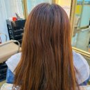 하스헤어