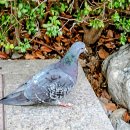 2호선 동백역 이미지