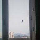 ♡ 전령사의 노래 이미지