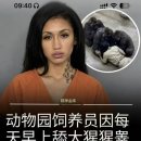 해고 및 체포된 동물원 사육사 이미지