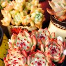 수연슈퍼 이미지