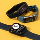 B.D Fitness 이미지