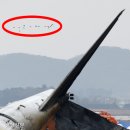국제오리 이미지