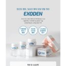뉴트로월드 이미지