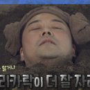 효소지음 이미지