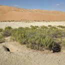 둔덕태양광발전소 이미지