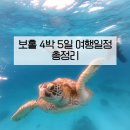 샵앤세이브 | 보홀 여행 4박 5일 일정 항공권 경비 시기 총정리 | 2월 보홀여행