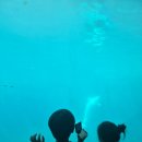 조선해양문화관 | 거제 자녀와 가볼만한 곳｜거제씨월드 &amp; 조선해양문화관 하루 코스 후기