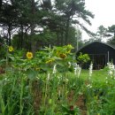 성효농장 이미지