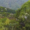 휴먼시아 4단지 사거리(4단지 쪽) 이미지