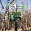 용호초교 이미지