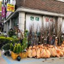 동해시-39 이미지