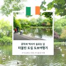 트리니티 작은도서관 | 더블린 도보 여행 / 고서점 산책, 성 스테판 그린공원, 트리니티 칼리지