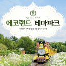성인카랜드 이미지