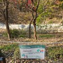 연필풍경스케치 (중급) | 11월 17일까지 개방하는 <서울대학교 관악수목원> 가을 즐기기 <우드버닝 무료체험>
