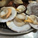 샾 브이알 짱 코인노래연습장 | 23. 3. 4