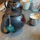 일대농장(2) | Ep.24] 오클랜드에서 타우랑가 로드트립 (해밀턴 딸기농장 PYO 시즌체험 아이스크림 / 데니스...