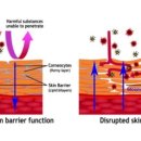 에버그린 펫 클리닉 이미지