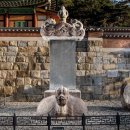 김흠조 부부 묘 출토유물 아시아경제