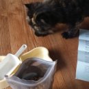 아이디얼푸드 이미지