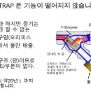 오리피스