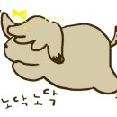 댕댕댕 유치원 이미지