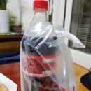 피자 아볼로 계산점에서 배달 후기!