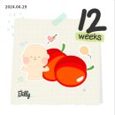 [임신12주,16주] 기형아 검사 1,2차 & 성별검사