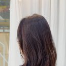 궁서채 네이버블로그