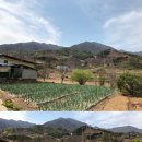 마천농산