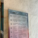 탈모퀸 | 강남압구정 두피케어, 엑소좀 줄기세포로 탈모 고민 잡았어요