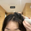 최정호 | 이철헤어커커 명동 1호점 최정호 수석실장 헤드스파 후기