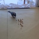 진무검도관 이미지