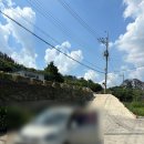 선바우 집 | [포항 | 호미곶] 고양이와 함께하는 촌캉스, 선바우집 후기 | 내돈내산