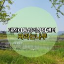 대전심리상담센터자라는나무 이미지