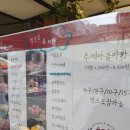트리안샵